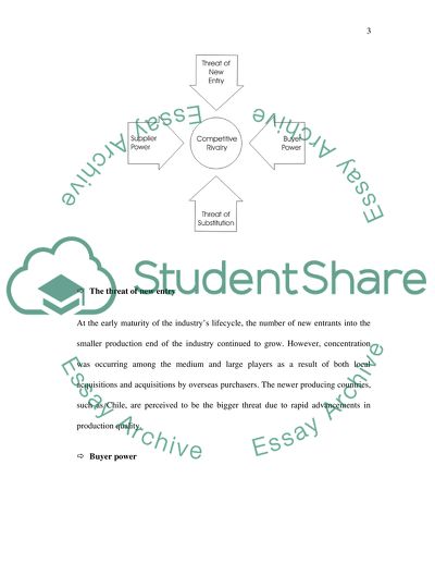 Strategic Management: Coopers Creek Winery