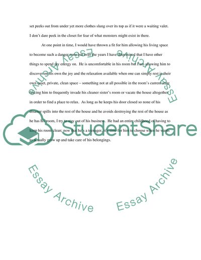 Description of My Sons Room