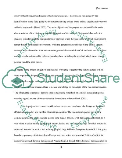 Spoonbill and Ibis in Zoo Environment