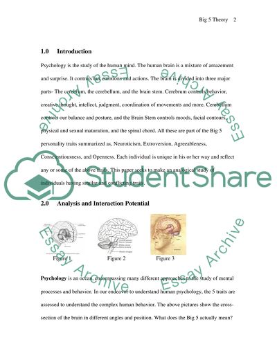 The Human Mind: Neuroticism and Extroversion