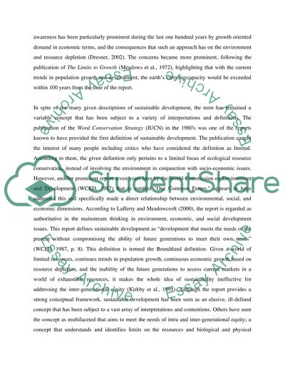 Sustainable Development as a Meaningful Course of Action