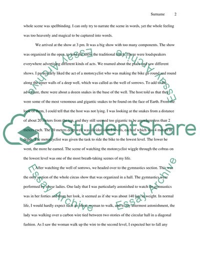 Circus Show in Las Vegas