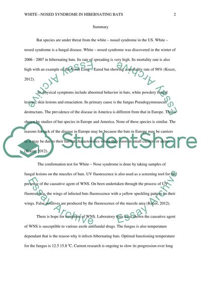 White-Nosed Syndrome in Hibernating Bats. Chelsea