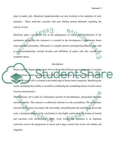 The Expression Level of RHoB Protein in Breast Cancer