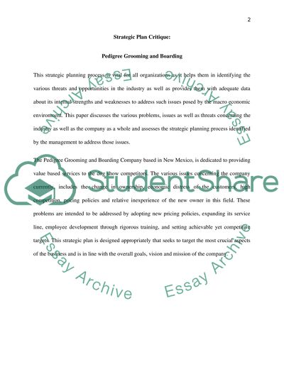 STRATEGIC PLAN CRITIQUE