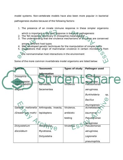 Studying Bacterial Pathogenesis and Therapy