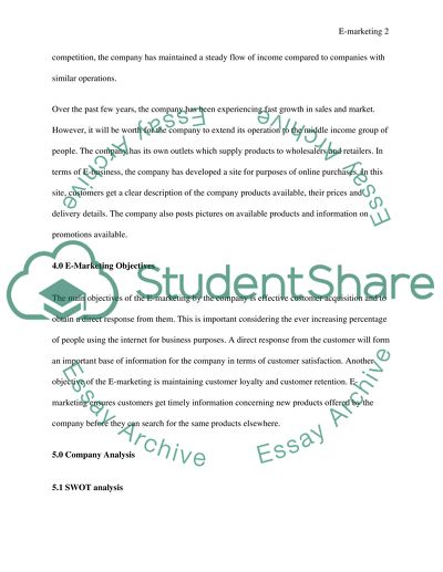 Electronic Marketing Business Plan