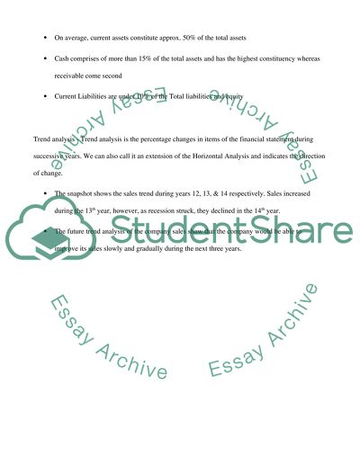 Financial Analysis of Custom Snowboards Inc