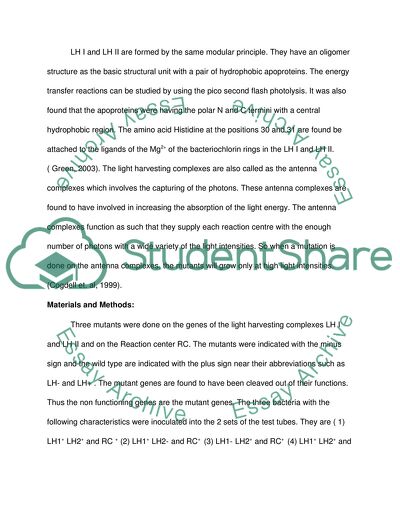 Photosynthesis Experiment: Purple Bacteria