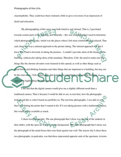 Photographs of the Lillis. Basic Elements of Photography and Representation versus Reality