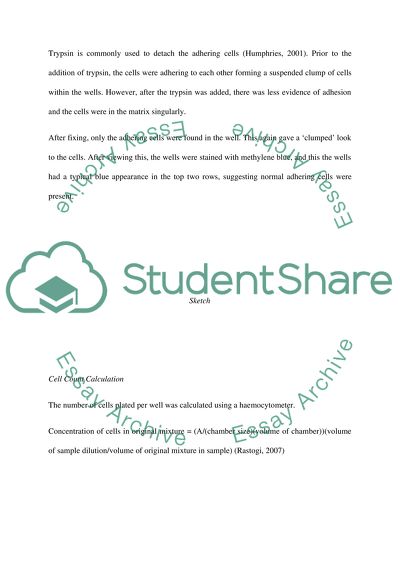 Cell Adhesion Practical