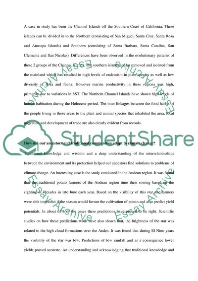 what is the world today essay