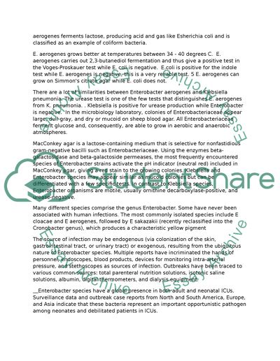 Enterobacteriaceae essay picture
