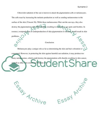 The Significance of Melanocytes