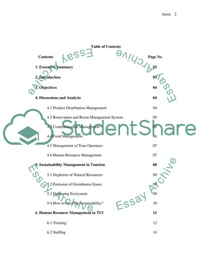Management Issues in Relation to International Travel and Tourism