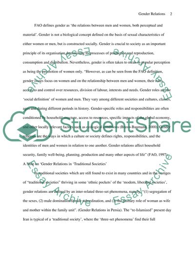 Theories of Gender Relations