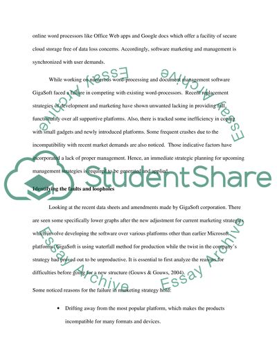 An Analytical report over Strategic planning for GigaSoft Pvt. Ltd