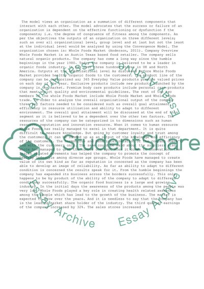 The Outputs Produced by an Organization Using the Nadler-Tushman Congruence Model