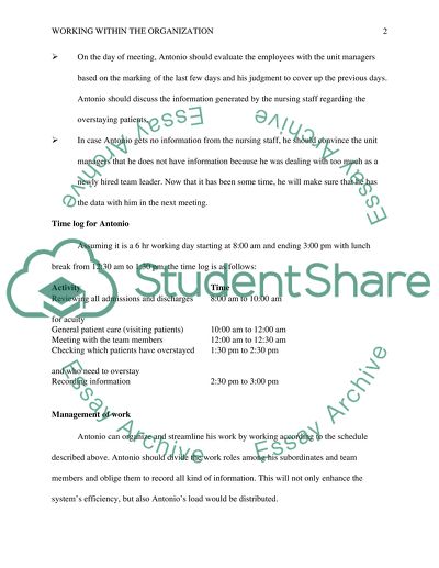 Working within the Organization