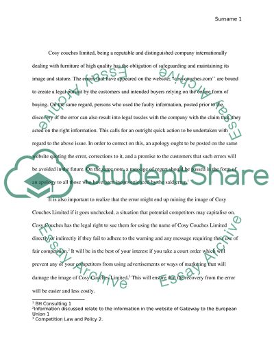 Legal implications and risks of the errors on the website