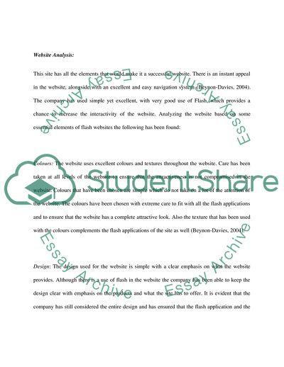 Interactive Website Evaluation