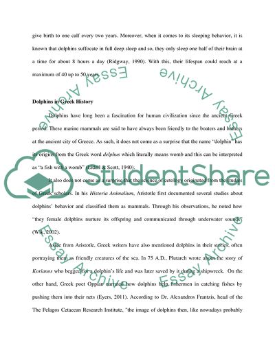 Dolphins Facts and Information