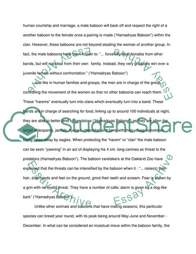 The Hamadryas Baboon