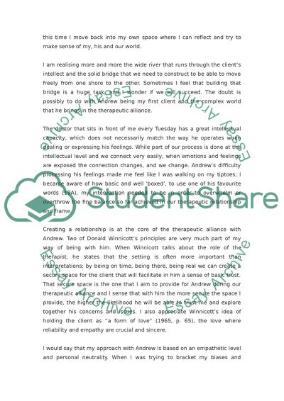 Description of Therapy Process