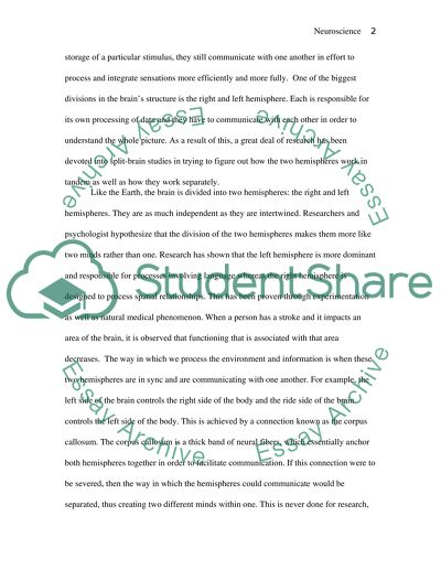 Neuropsychology paper on Split Brain