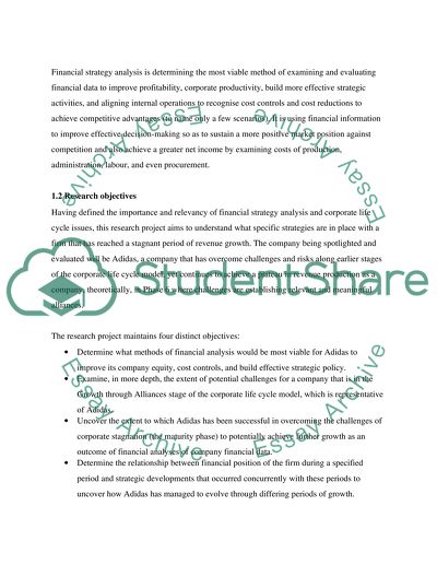 Financial Strategy Analysis: Adidas Company