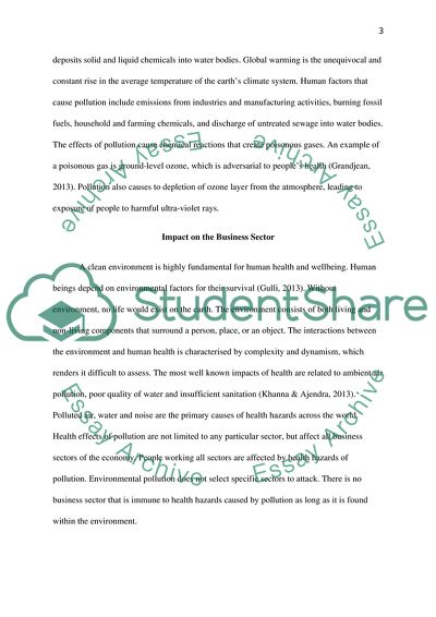 Impact of Pollution on Human Health and the Environment