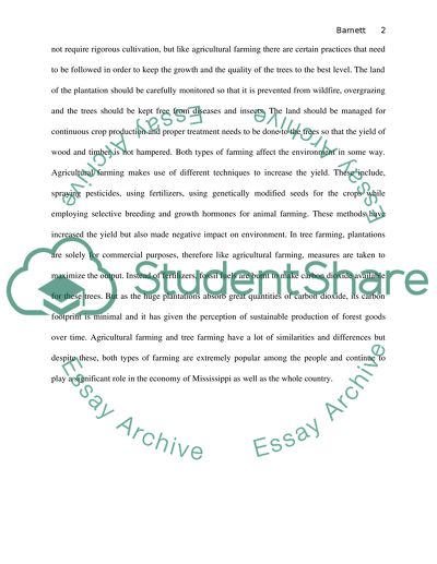 Tree Farming vs Agricultural Farming