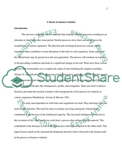A Theme in Morphological Changes Throughout Human Evolution