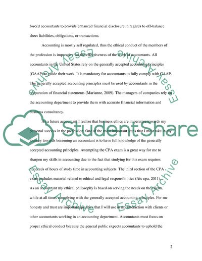 The Accounting Profession