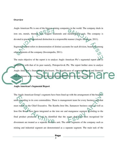 Anglo American Plc - Segmental Report and Financial Risk Disclosures