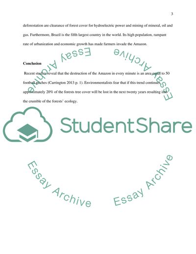 Deforestation in the Amazon Rainforest