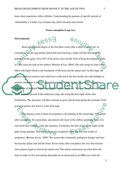 Brain Development from Infancy to the Age of Two