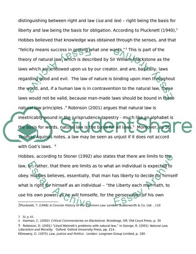 Jurisprudence Issues Analysis
