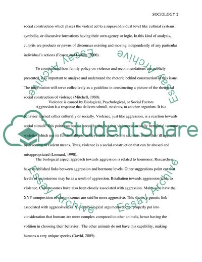 Violence as a Social Construction