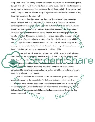 The Sensory Nervous System