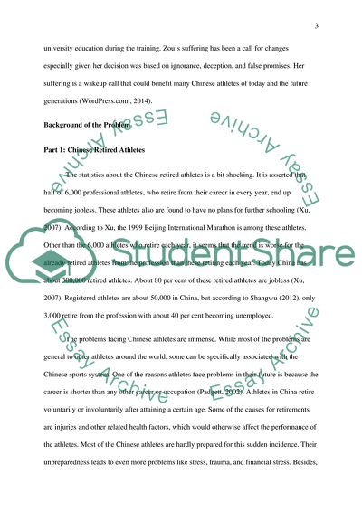 Reflective Essay for the Website Project