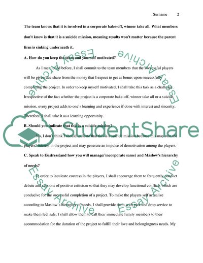 Management Strategy and Team Motivation