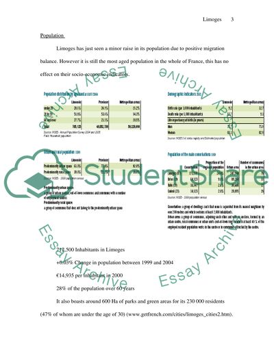 Socio-Economic Aspects that Make Limoges Distinctive
