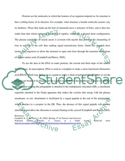 Molecular Cascade and Upstream / Downstream Processing