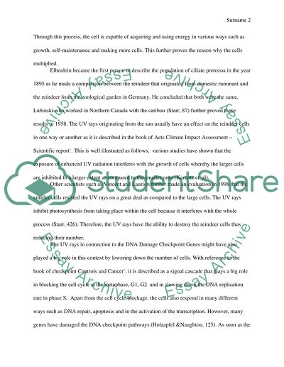 How the CukE or Milk Affects the Reindeer Cells