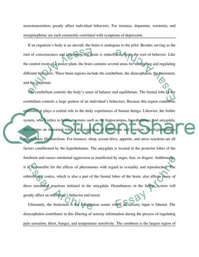 Neurotransmitters Are Very Important