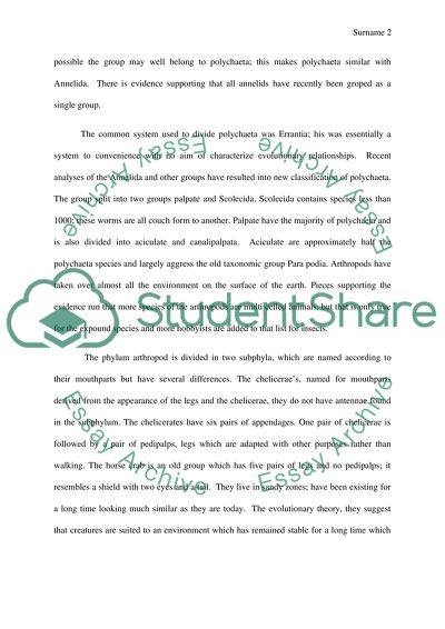 Macroevolution and Gene Expression