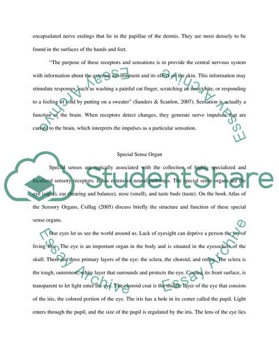 General Sense Organs of the Body