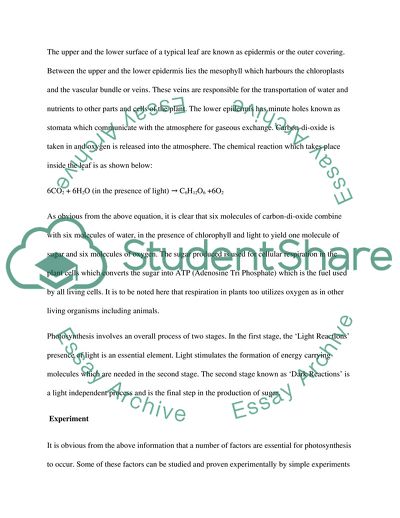 short essay about photosynthesis