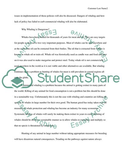 Commercial Whaling - Lack of Suitable Policy